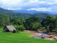 maehongson tour packages, maehongson tours