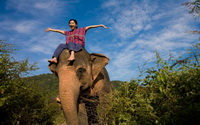 chiang mai elephant training, patara elephant camp