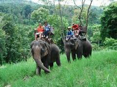 package tours in chiang mai, chiang mai packages