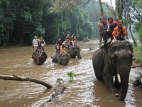 chiang mai tour packages, chiang mai elephant safari
