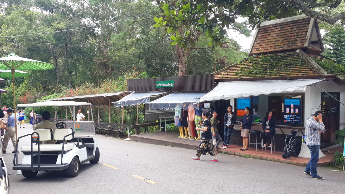 doi pha ngam, pha ngam, pha ngam cliff, two season cliff, 2 season cliff, trekking at pha ngam, trekking at doi pha ngam, doi pha ngam trek, trekking doi pha ngam