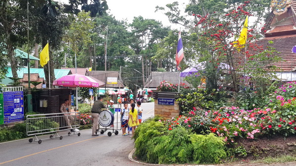 doi pha ngam, pha ngam, pha ngam cliff, two season cliff, 2 season cliff, trekking at pha ngam, trekking at doi pha ngam, doi pha ngam trek, trekking doi pha ngam