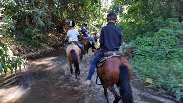 ob luang national park, ob luang, national parks in northern thailand, op luang, op luang national park