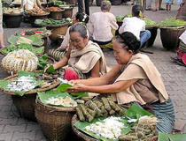 chiang mai markets, attractions in chiang mai, chiang mai attractions