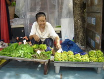 chiang mai markets, attractions in chiang mai, chiang mai attractions
