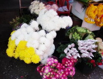 chiang mai markets, attractions in chiang mai, chiang mai attractions