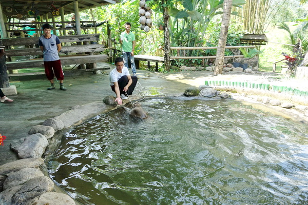 ob luang national park, ob luang, national parks in northern thailand, op luang, op luang national park