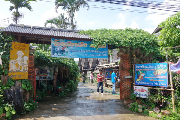 ob luang national park, ob luang, national parks in northern thailand, op luang, op luang national park