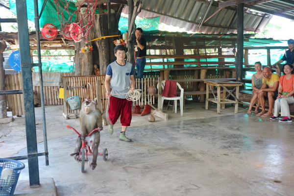 ob luang national park, ob luang, national parks in northern thailand, op luang, op luang national park