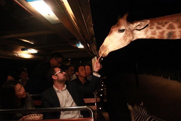 chiang mai night safari tour, chian mai night safari, night safari