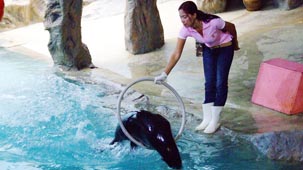 chiang mai zoo, chiang mai attractions, attractions in chiang mai