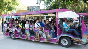 chiang mai zoo, chiang mai attractions, attractions in chiang mai