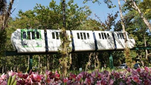 chiang mai zoo, chiang mai attractions, attractions in chiang mai