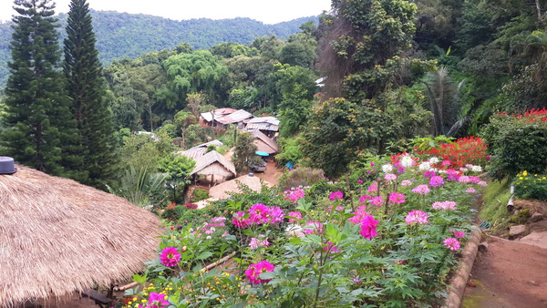 doi pha ngam, pha ngam, pha ngam cliff, two season cliff, 2 season cliff, trekking at pha ngam, trekking at doi pha ngam, doi pha ngam trek, trekking doi pha ngam
