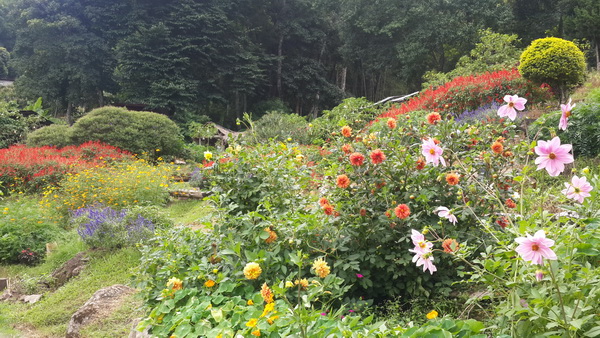 doi pha ngam, pha ngam, pha ngam cliff, two season cliff, 2 season cliff, trekking at pha ngam, trekking at doi pha ngam, doi pha ngam trek, trekking doi pha ngam