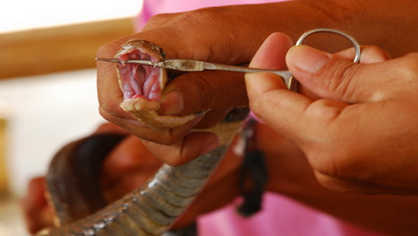 Banpi huennong Khantoke