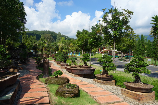 ob luang national park, ob luang, national parks in northern thailand, op luang, op luang national park