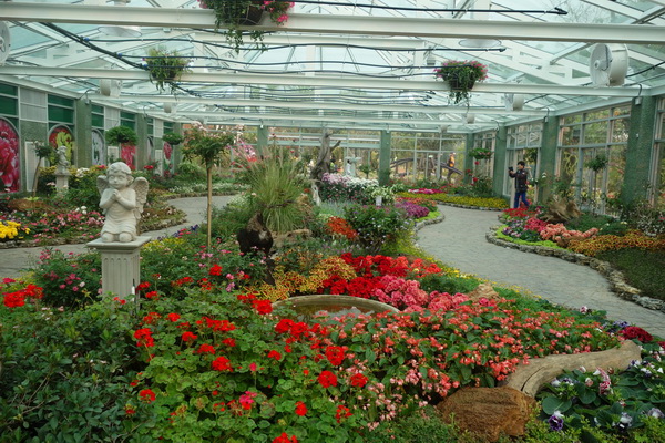 ob luang national park, ob luang, national parks in northern thailand, op luang, op luang national park