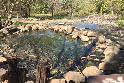 Tha Pai Hot Spring is a lovely hot spring & nice place to relax