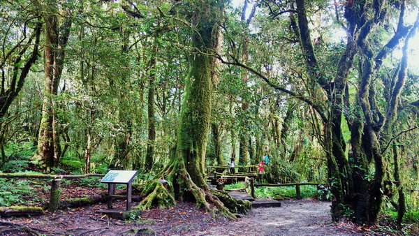 budget tour doi inthanon, budget tour doi inthanon national park, tour doi inthanon, tour doi inthanon national park, doi inthanon national park, doi inthanon