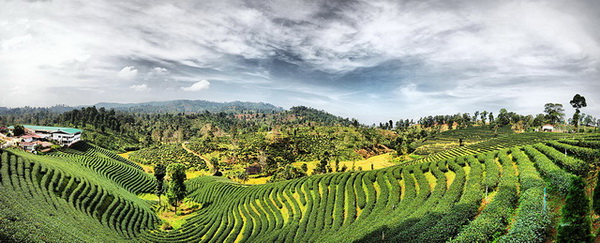 ob luang national park, ob luang, national parks in northern thailand, op luang, op luang national park mae fa luang chiangrai, attractions in mae fa luang, mae fa luang attractions, chiang rai attractions