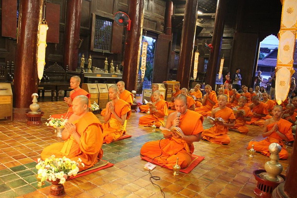 mae rim elephant camp, maerim elephant camp, maerim elephant care
