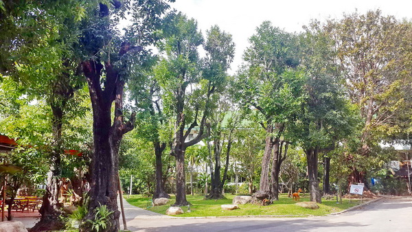 ob luang national park, ob luang, national parks in northern thailand, op luang, op luang national park