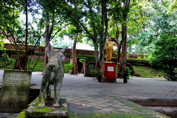 ob luang national park, ob luang, national parks in northern thailand, op luang, op luang national park