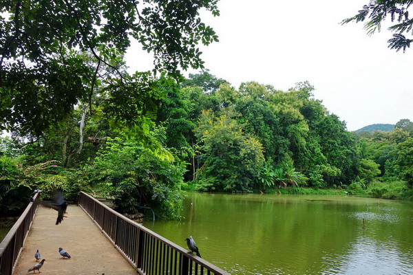 ob luang national park, ob luang, national parks in northern thailand, op luang, op luang national park