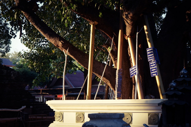 wat jed yod, jed yod temple, wat chet yod, chet yod, wat jedyod, jedyod temple, wat chetyod, chetyod, wat chet yod phra aram luang