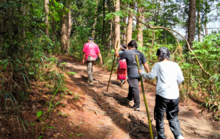 elephant observation and hiking doi inthanon, elephant observation and trekking doi inthanon, elephant observation and doi inthanon hike, elephant observation and doi inthanon trek, elephant surveying and doi inthanon hiking, doi inthanon hiking, doi inthanon trekking