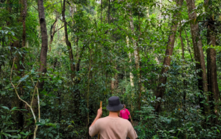 elephant observation and hiking doi inthanon, elephant observation and trekking doi inthanon, elephant observation and doi inthanon hike, elephant observation and doi inthanon trek, elephant surveying and doi inthanon hiking, doi inthanon hiking, doi inthanon trekking