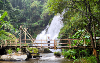 elephant observation and hiking doi inthanon, elephant observation and trekking doi inthanon, elephant observation and doi inthanon hike, elephant observation and doi inthanon trek, elephant surveying and doi inthanon hiking, doi inthanon hiking, doi inthanon trekking