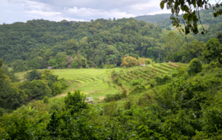 elephant observation and hiking doi inthanon, elephant observation and trekking doi inthanon, elephant observation and doi inthanon hike, elephant observation and doi inthanon trek, elephant surveying and doi inthanon hiking, doi inthanon hiking, doi inthanon trekking