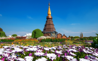 elephant observation and hiking doi inthanon, elephant observation and trekking doi inthanon, elephant observation and doi inthanon hike, elephant observation and doi inthanon trek, elephant surveying and doi inthanon hiking, doi inthanon hiking, doi inthanon trekking