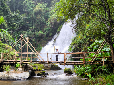 elephant observation and hiking doi inthanon, elephant observation and trekking doi inthanon, elephant observation and doi inthanon hike, elephant observation and doi inthanon trek, elephant surveying and doi inthanon hiking, doi inthanon hiking, doi inthanon trekking