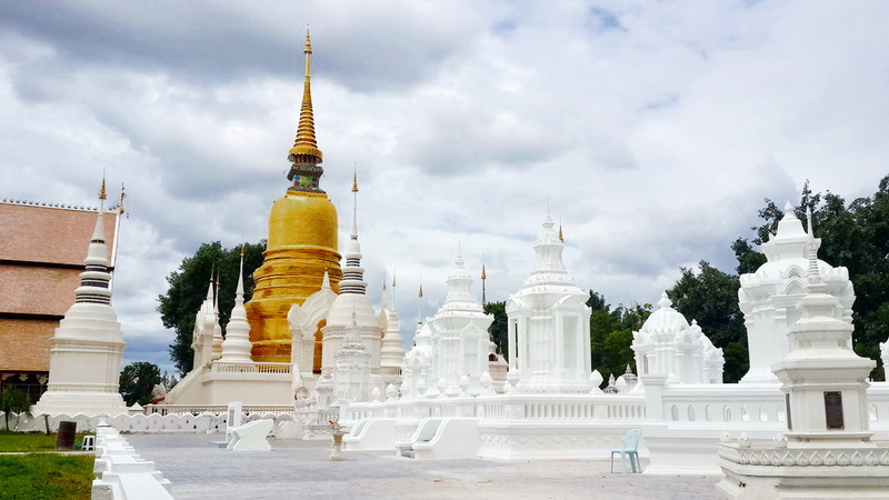 suan dok temple, wat suan dok, important temple in chiang mai suan dok temple, wat suan dok, important temple in chiang mai