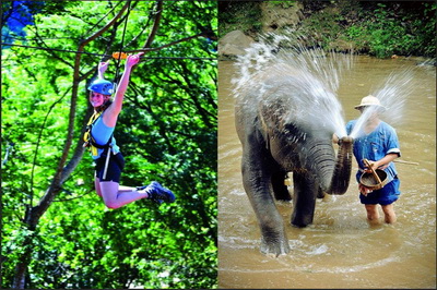 zipline and elephant tour
