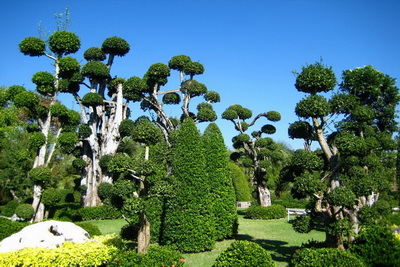 chiang mai gardens