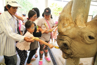 zoo attractions chiang mai, attractions zoo in chiang mai, zoos in chiang mai, animal parks in chiang mai, chiang mai zoos, animal farms in chiang mai