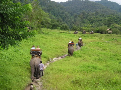 3 days chiang mai trekking