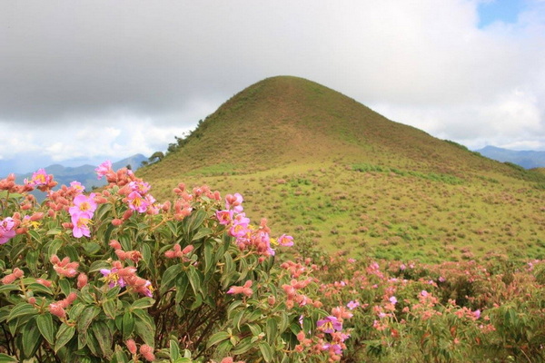 numtok mae surin, numtok mae surin national park, numtok mae surin mae hong son