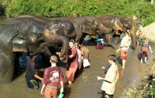karen and elephant house, eco elephant camp chiang mai, chiang mai animals planet package, chiang mai packages, chiang mai tour packages, mae sa elephant camp