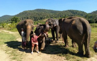karen and elephant house, eco elephant camp chiang mai, chiang mai animals planet package, chiang mai packages, chiang mai tour packages, mae sa elephant camp