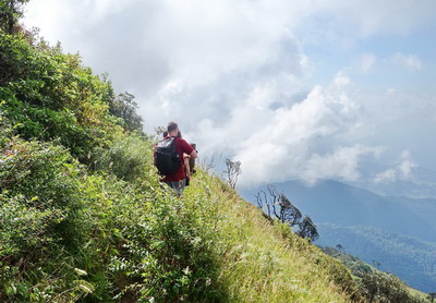 Kew Mae Pan Nature Trail : Trekking At Doi Inthanon National Park