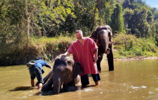 private tour mae rim, chiang mai tour, private tours chiang mai, mae rim elephant camp