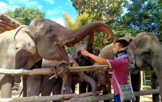 private tour mae rim, chiang mai tour, private tours chiang mai, mae rim elephant camp