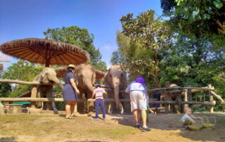 private tour mae rim, chiang mai tour, private tours chiang mai, mae rim elephant camp