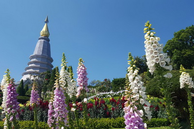 chiang mai wander package