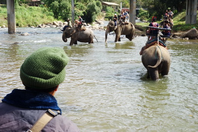 chiang mai nature package